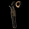 WESSEX CB90PGB cimbasso F, czara złoty mosiądz-112123