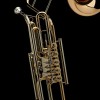WESSEX CB91PGB cimbasso F, czara złoty mosiądz-112621
