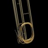 WESSEX CB91PGB cimbasso F, czara złoty mosiądz-112620