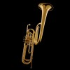 WESSEX CB92PL cimbasso B, lakierowany-112627