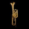 WESSEX CB92PL cimbasso B, lakierowany-112626