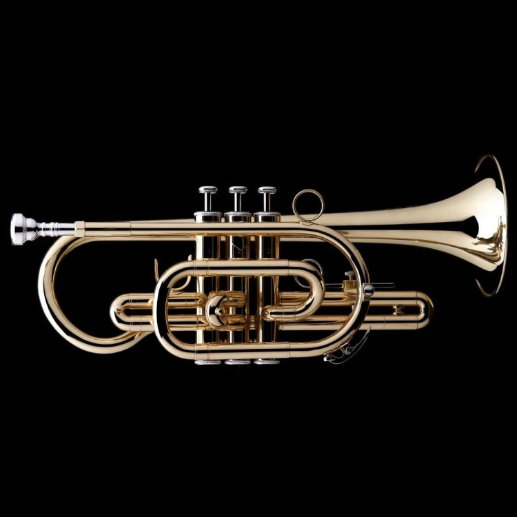 WESSEX CR90L kornet B (student), lakierowany-112648