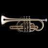 WESSEX CR90L kornet B (student), lakierowany-112647