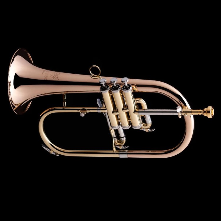 WESSEX FH50GB flugelhorn B, lakierowany, z futerałem-112669