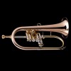 WESSEX FH50GB flugelhorn B, lakierowany, z futerałem-112670