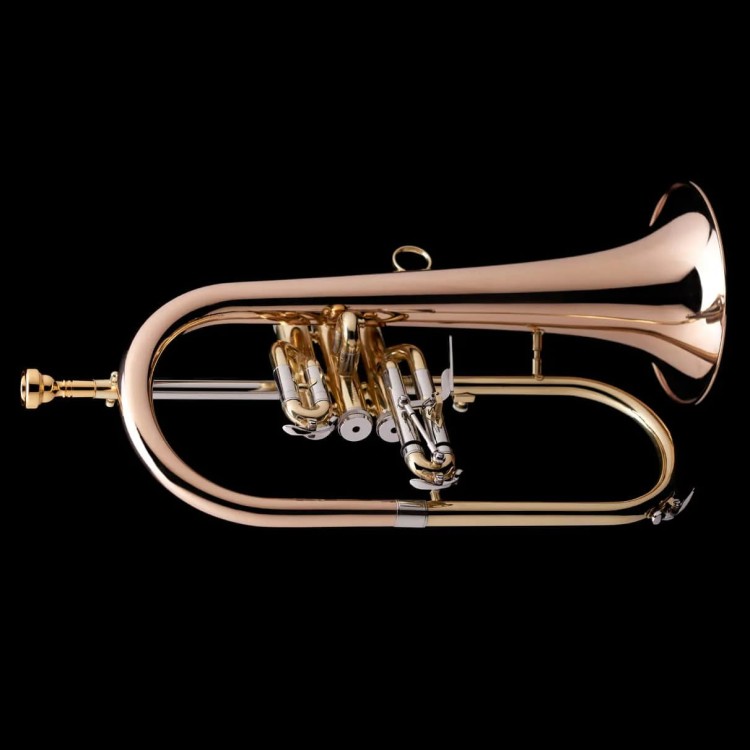WESSEX FH50GB flugelhorn B, lakierowany, z futerałem-112670