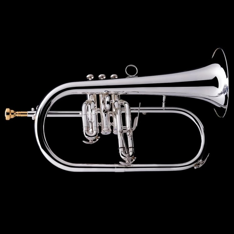 WESSEX FH50S Bb Flugelhorn, silver plated, with case-112671
