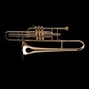 WESSEX PC912L puzon wentylowy C, lakierowany, z futerałem-112842
