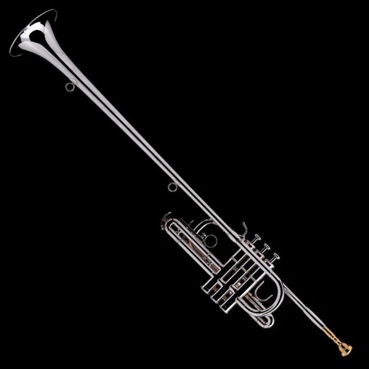 WESSEX R130S fanfara melodyczna (trąbka heraldyczna), posrebrzana, z futerałem-112852