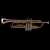 WESSEX R30L Bb trumpet (student), lacquered, with case-112867