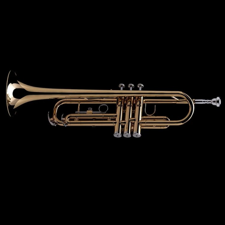 WESSEX R30L Bb trumpet (student), lacquered, with case-112867