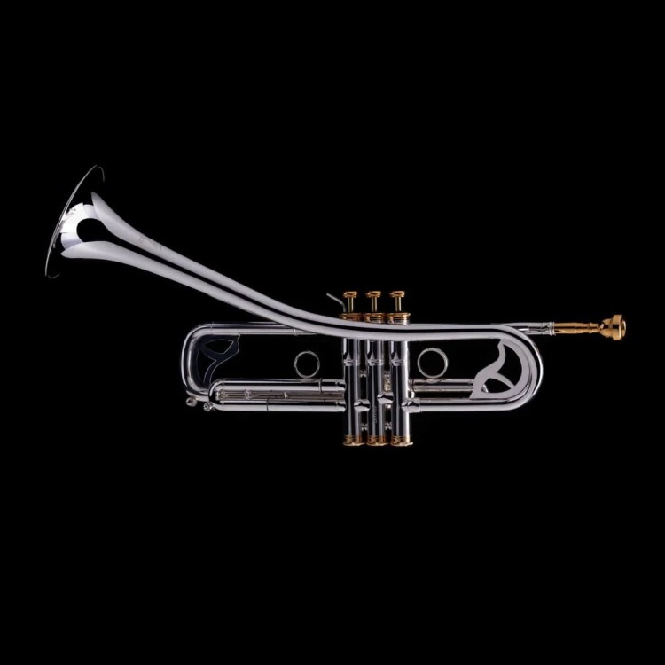 WESSEX R450SG Bb strato jazz trumpet, silver plated, with case-112924
