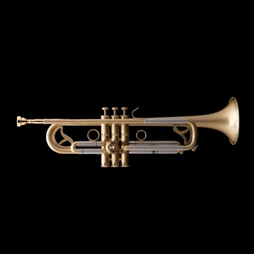 WESSEX R451 trąbka jazzowa B, szczotkowany mosiądz, z futerałem-112885