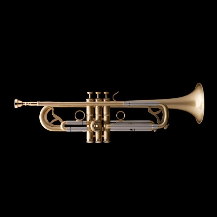 WESSEX R451 trąbka jazzowa B, szczotkowany mosiądz, z futerałem-112885