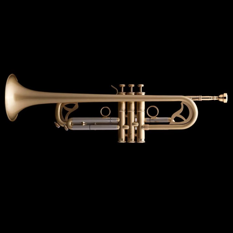 WESSEX R451 trąbka jazzowa B, szczotkowany mosiądz, z futerałem-112884