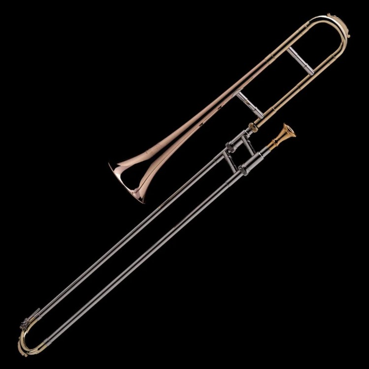 WESSEX S1PL puzon altowy renesansowy (sackbut), lakierowany, z futerałem-112910