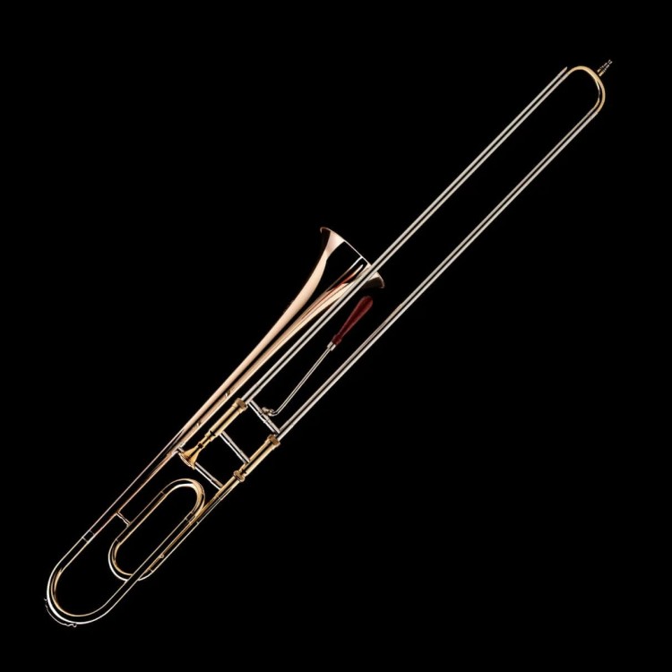 WESSEX S4P puzon basowy renesansowy (sackbut), lakierowany, z futerałem-112920