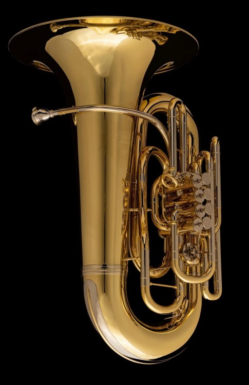 WESSEX TE665HPGL Tubby tuba Es 6/4, lakierowana, z futerałem-112720