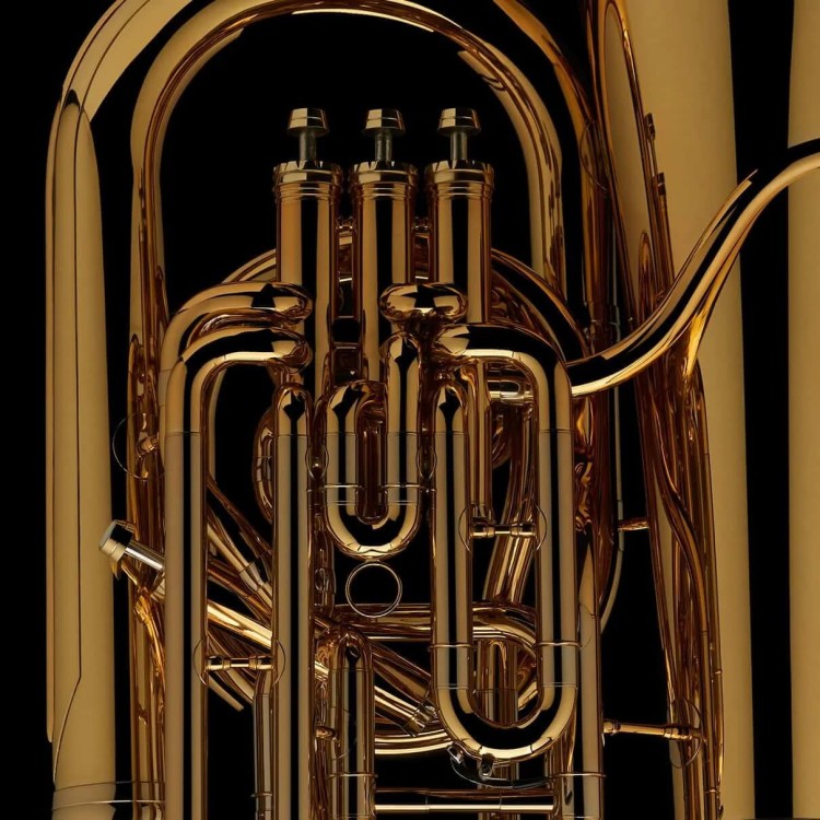 WESSEX TF458XPGL tuba F brytyjska, lakierowana, z futerałem-112750