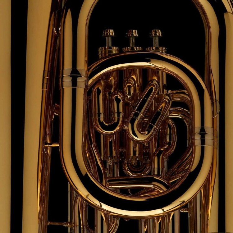 WESSEX TF458XPGL tuba F brytyjska, lakierowana, z futerałem-112752