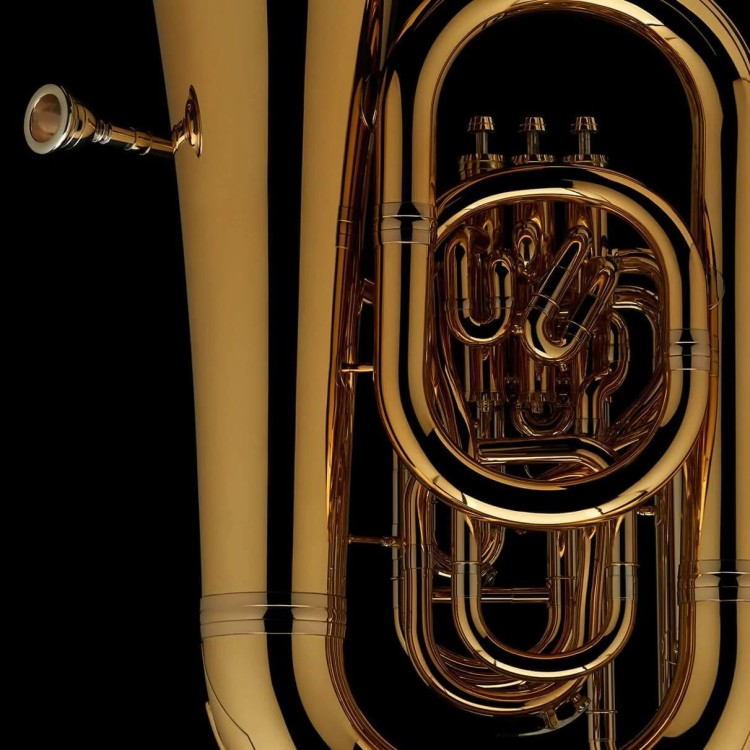 WESSEX TF458XPGL tuba F brytyjska, lakierowana, z futerałem-112753