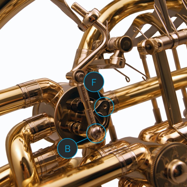 DUERK waltornia podwójna F/B model D3GM-RB-AV RADEK BABORAK, złoty mosiądz, odkręcana czara, regulowany hak na 5-ty palec, nielakierowana, bez futerału-113984