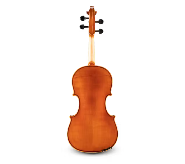 ANDREAS EASTMAN altówka model 50 Samuel Eastman 15" O, z futerałem i smyczkiem-114064