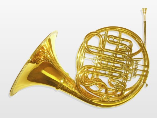 ENGELBERT SCHMID waltornia podwójna F/B A-+, odkręcana czara, mechanika sznurkowa, menzura M, materiał złoty mosiądz, 2 klapy wodne, lakierowana-114695