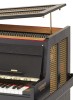 SCHIEDMAYER czelesta 5,5 oktaw, skala c-f5, model Studio, dąb czarny-114671