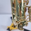 YANAGISAWA saksofon altowy model A991, używany, nr seryjny 00291525, lakierowany, z futerałem i ustnikiem, rok produkcji 2008, stan bardzo dobry-118689