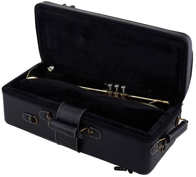 YAMAHA-futeral-na-2-trabki-